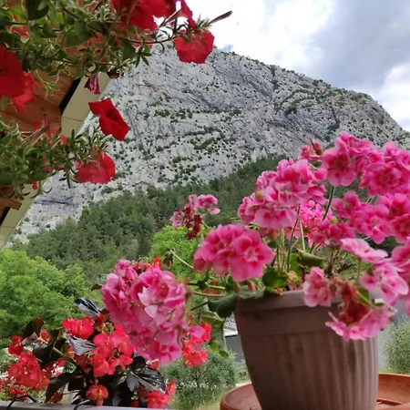 Bajama * Omiš