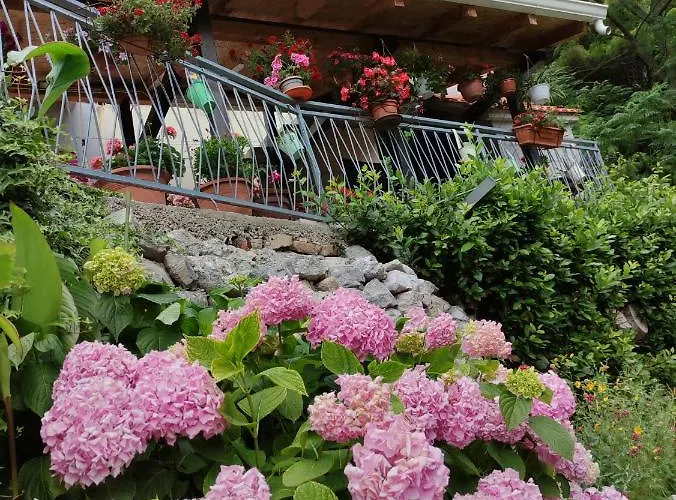 Appartement Bajama *